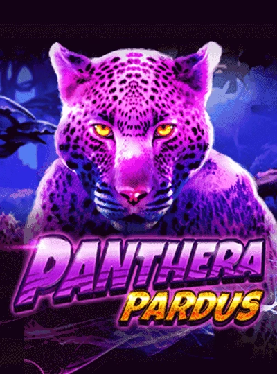jdpkx jdpkx
